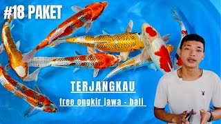 PAKET KOI MIX HARGA TERJANGKAU DAN SUDAH FREE ONGKIR JAWA BALI‼️#koiblitar