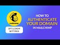How to Set Up SPF &amp; DKIM Records In Mailchimp - Authenticate your Custom Domain - Beginner&#39;s Guide