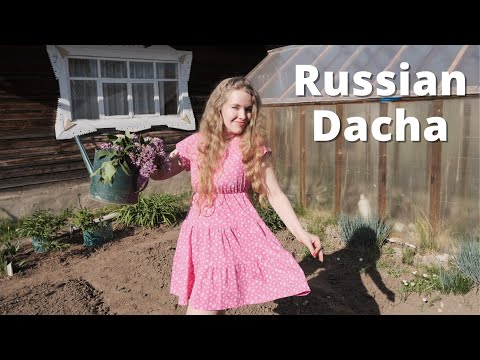 A Day at the Russian Country House (Dacha) 🌿