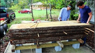 Stacking Wood to Dry - Homestead Basics