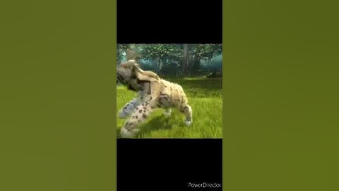 What did you think About My Wildest Zoo Trick?