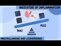 Prostaglandins and leukotrienes