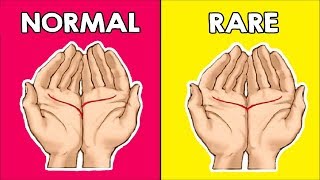 Read Your Palm To Find Out What It Means About You