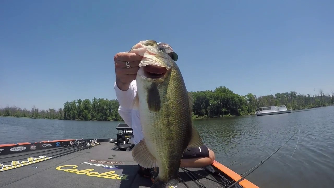 2017 flw tour potomac river