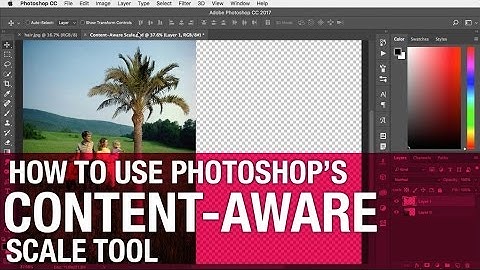How to use Content Aware Scale
