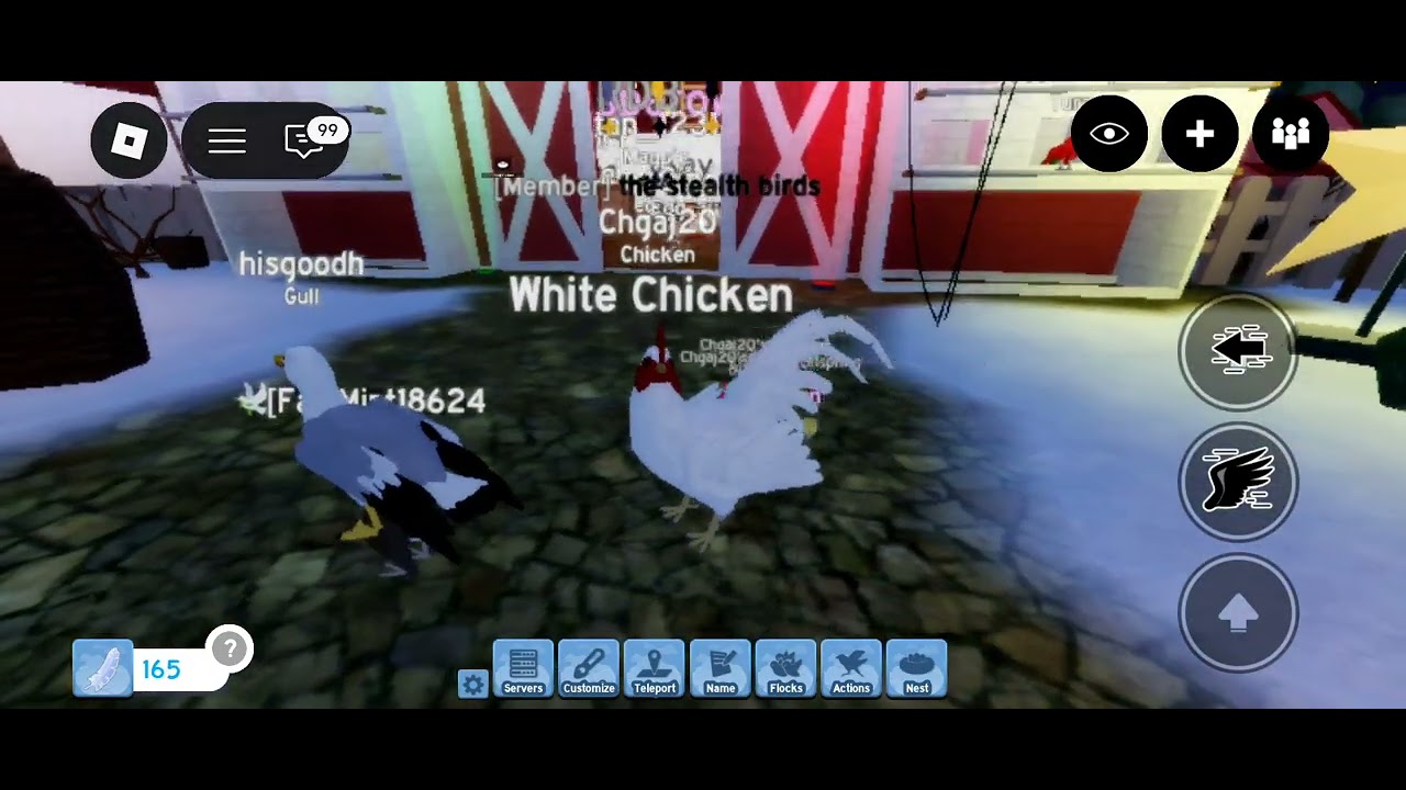 Feather family part 22