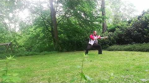 2022-05-29 Xiao Yao Zhang - Form Progression