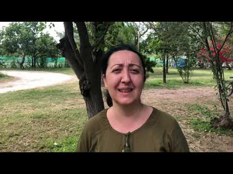 Nerdeyiz? Erdek Göktur camping