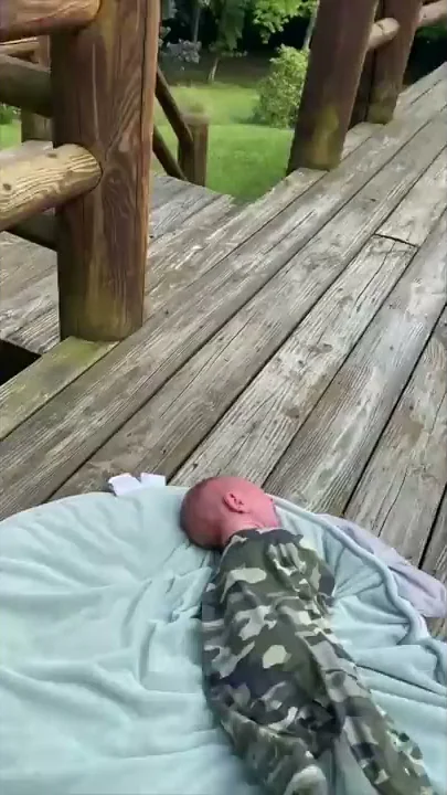 Curious Deer Comes Rushing as a Human Baby Cries