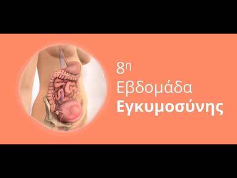 Βίντεο: Πώς είναι η 8η εβδομάδα της εγκυμοσύνης