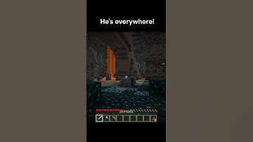 minecraft wandering trader moment