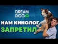 Можно погладить собачку? 🐕 Как приучить собаку к посторонним?🐶 Отношение к прохожим у щенка 🐩