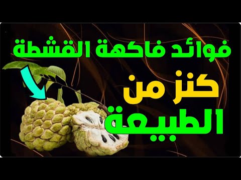 فوائد فاكهة القشطة كنز من كنوز الطبيعة مع فوائد مذهلة لا تصدق