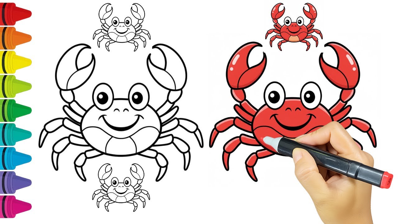 How to Draw a Cute Crab | Easy Drawing for Kids