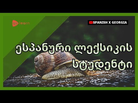 ესპანური ლექსიკის სტუდენტი|Golearn