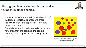 AP Bio Daily video 7.3 artificial selection