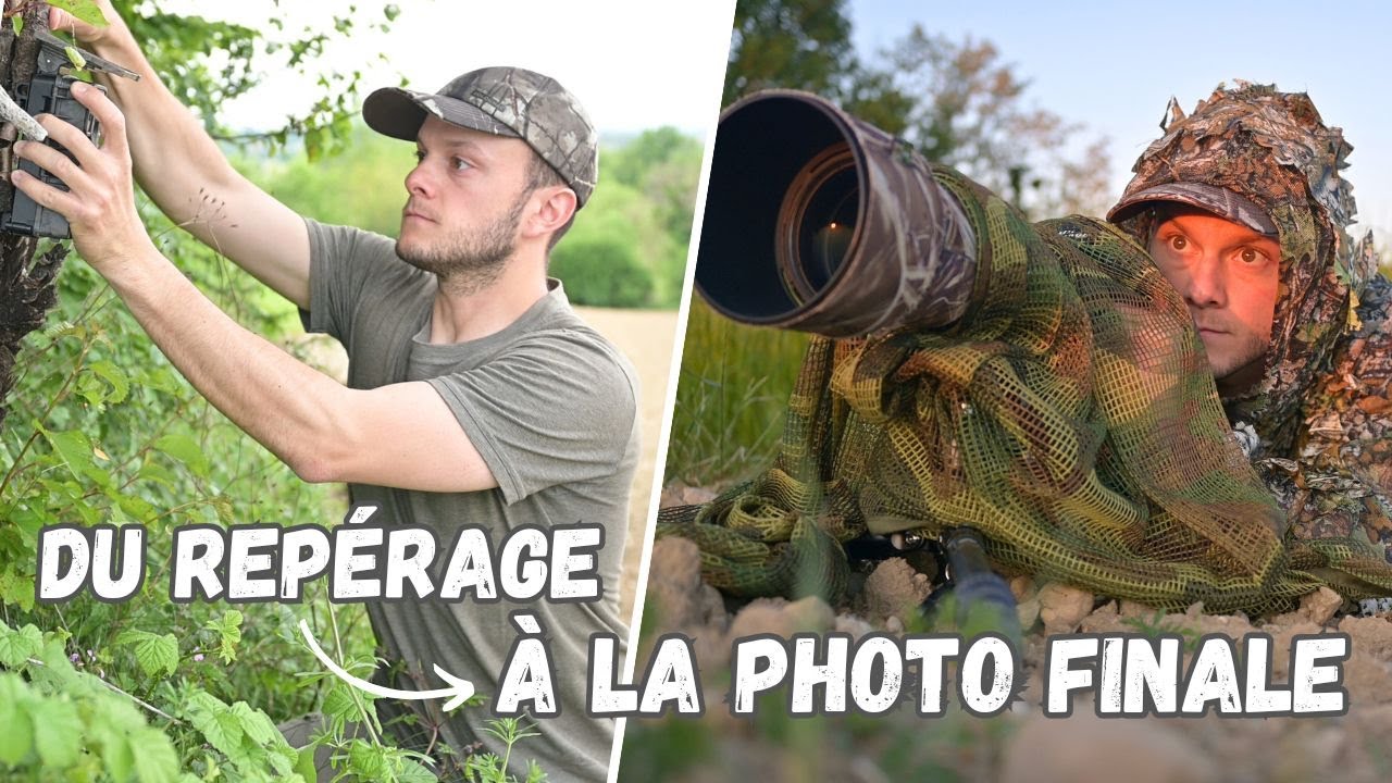 Le repérage en Photo Animalière | Avec la CEYOMUR CY75