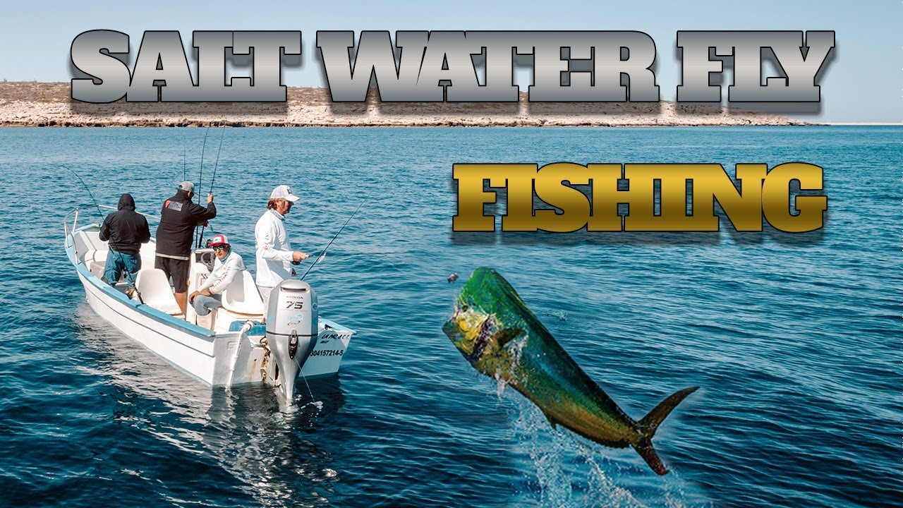 Fly Fishing in Baja California Sur: Chasing Dorados & Adventure with Friends