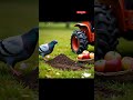 #AI #ArtificialIntelligence #AIVideo #AICreation #AIGenerated #AIVideoEditing #AIVideoMaker #AITools