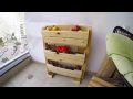 Fruits and Vegetables stand DIY from palets
