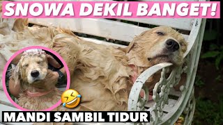 AKHIRNYA SNOWA CANTIK MANDI! KELAKUANNYA ADA AJA..