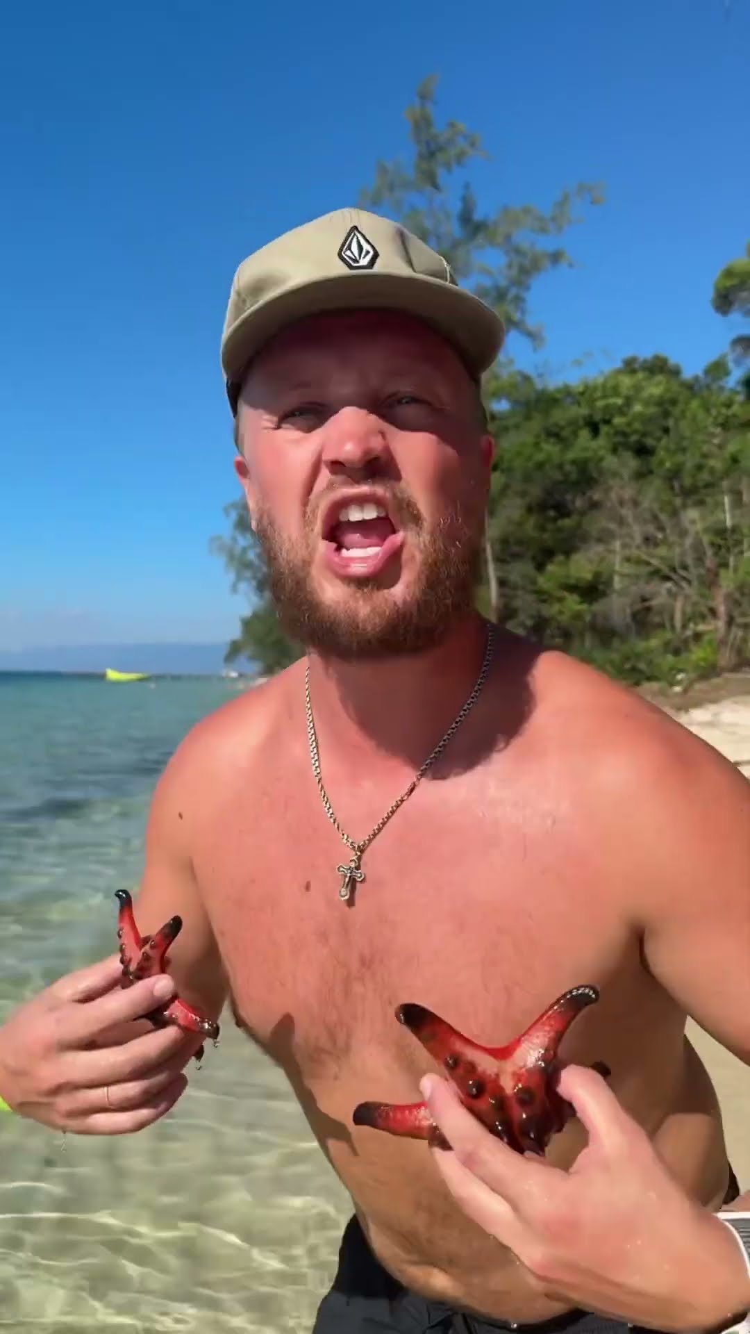 The sea stars live without water only 10 seconds