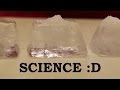 What happens when you put salt on ice cubes?