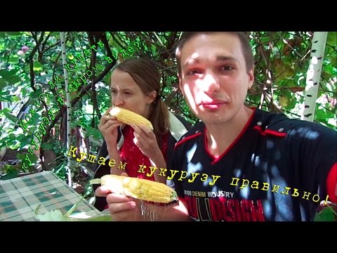 Можно ли кушать кукурузу в сыром виде?
