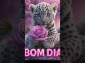 Bom Domingo a todos na paz do senhor Jesus Cristo 🙏