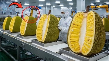 Inside a High-Tech Jackfruit Factory: From Whole Fruit to Ready-to-Eat Packs