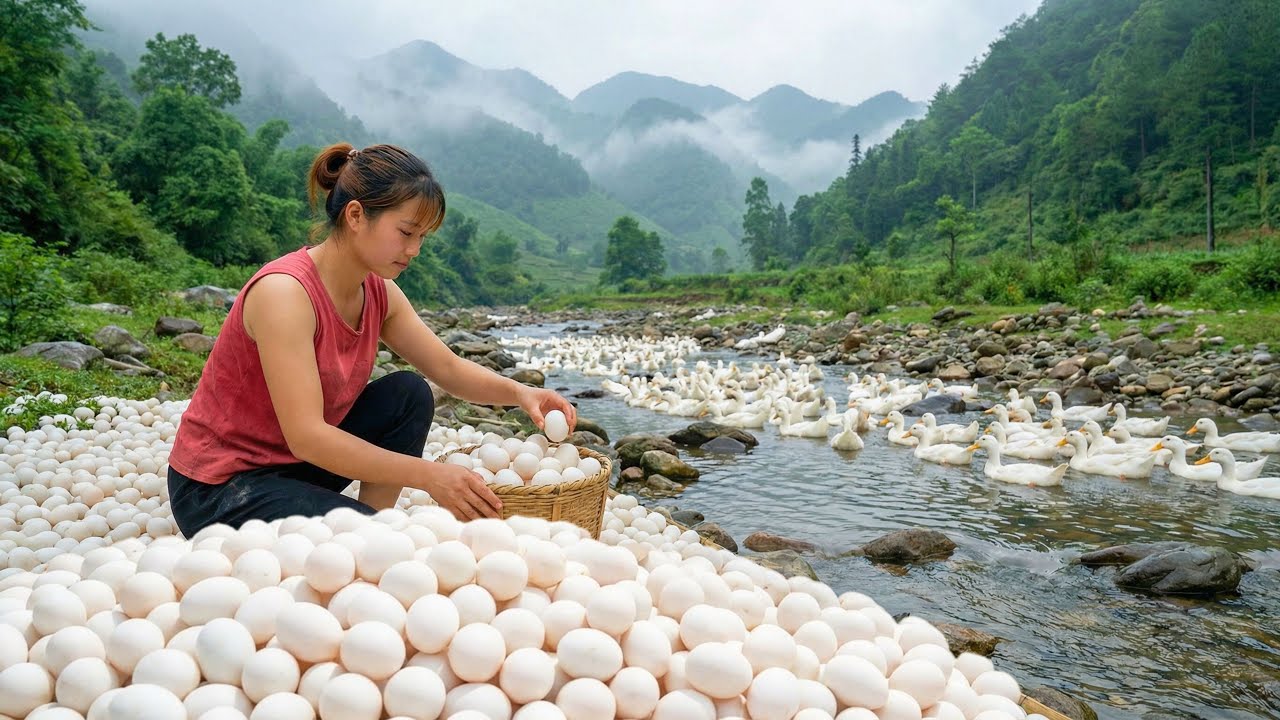 100 Days of Harvesting Large Duck Eggs - Selling Out Quickly at the Country Market