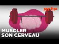 Pourquoi la lecture est-elle bonne pour le cerveau ? | ARTE Family