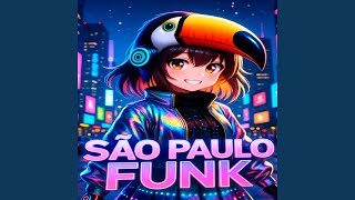 São Paulo Funk - W3ZL3Y TXRR3Z