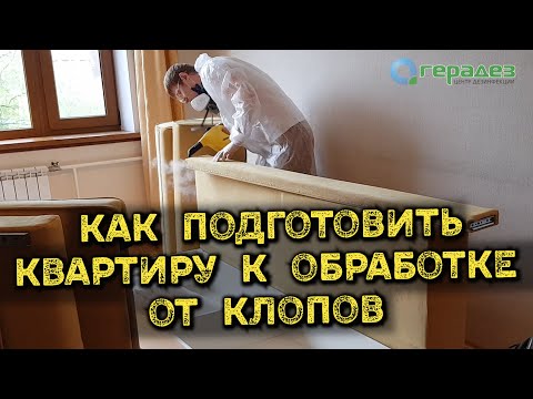 Обработка от постельных клопов — КАК ПОДГОТОВИТЬ КВАРТИРУ для максимального результата