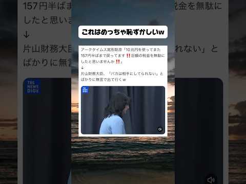 【政治】記者「10兆円もの税金を為替介入で使って」