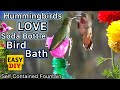 How To Make Hummingbird ENDLESS Water Fountain 🐦LOVED Bird Bath EASY Solar Powered TOTALLY PORTABLE
