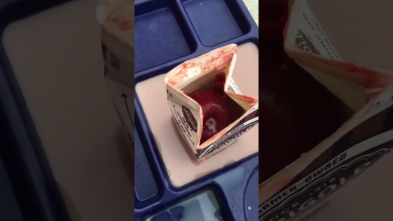 New school food just dropped 🥶🥶🥶 