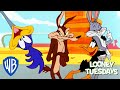 Looney Tuesdays | Friendship Love ❤️ | Looney Tunes | WB Kids