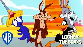 Looney Tuesdays | Friendship Love ❤️ | Looney Tunes | WB Kids