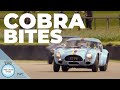 Wild bucking bronco Cobra fights driver round amazing Goodwood lap | 79MM