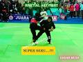MARTIAL ART FIGHT _ SUPER SERU...!!!