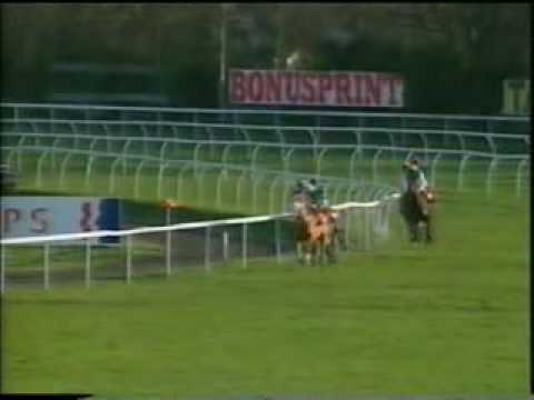 Horse Racing One Man 1996 King George VI Chase Kempton