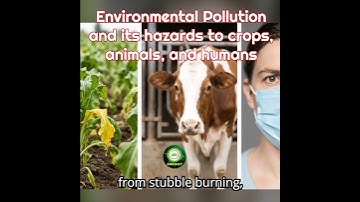 Environmental Pollution and its hazards to crops, animals, and humans Explained  #Agrimly