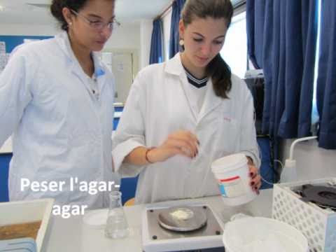 Vidéo: Différence Entre L'agar Nutritif Et Le Bouillon Nutritif