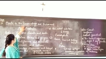 CLASS-4 SCIENCE CHAPTER-6 (PLANTS IN THE SURROUNDINGS AND ENVIRONMENT)