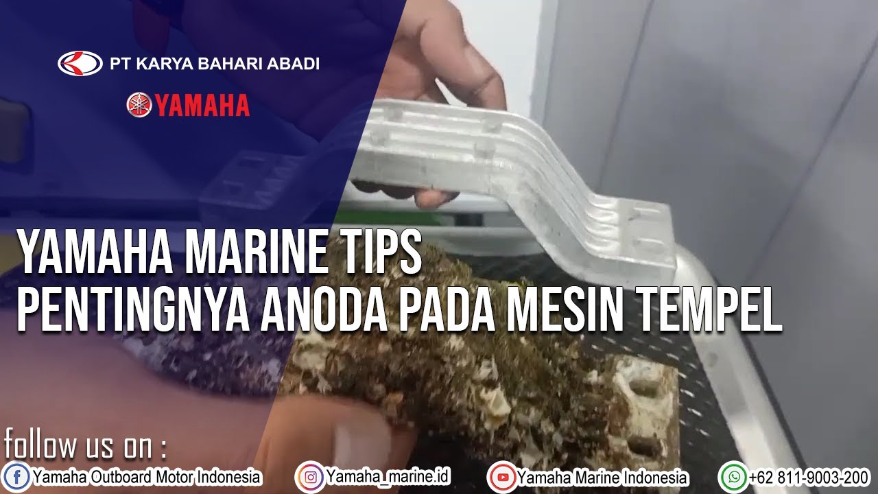 The Importance Of Anode Components On Yamaha Outboard Engines Karya Bahari Abadi Motor Tempel Yamaha Dan Wave Runner