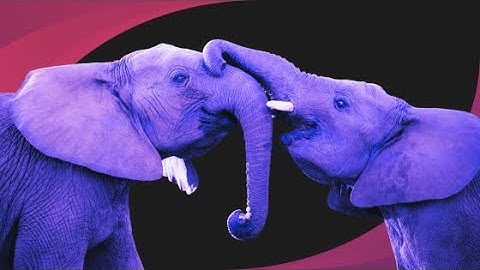 Completely Revamp Your Salesforce Account Hierarchy Experience