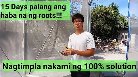 Nagtimpla na kami ng 100% Nutrients Solutions ( Di...