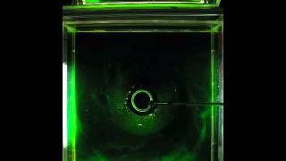 Non Rotating gravity current flowing down slope