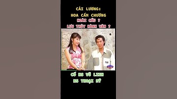 HOÀI CẦU ? LƯU THỦY HÀNH VÂN? ( CẢI LƯƠNG:HOA CẨM CHƯỚNG- CỐ NS VŨ LINH / NS THOẠI MỸ) #cảilương